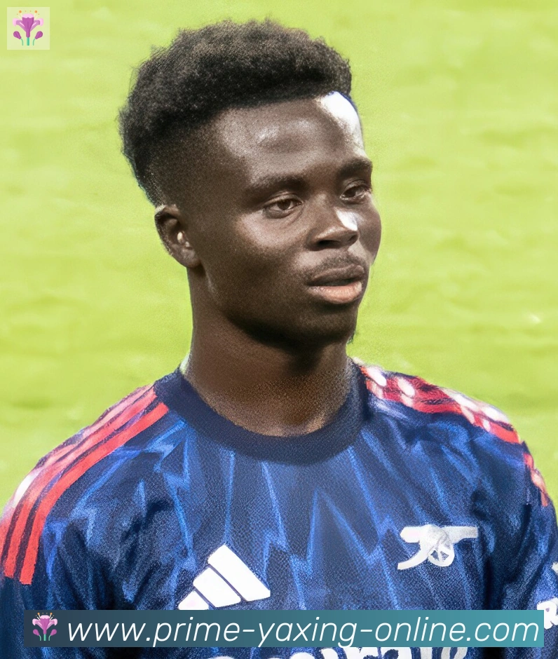 维尼修斯
